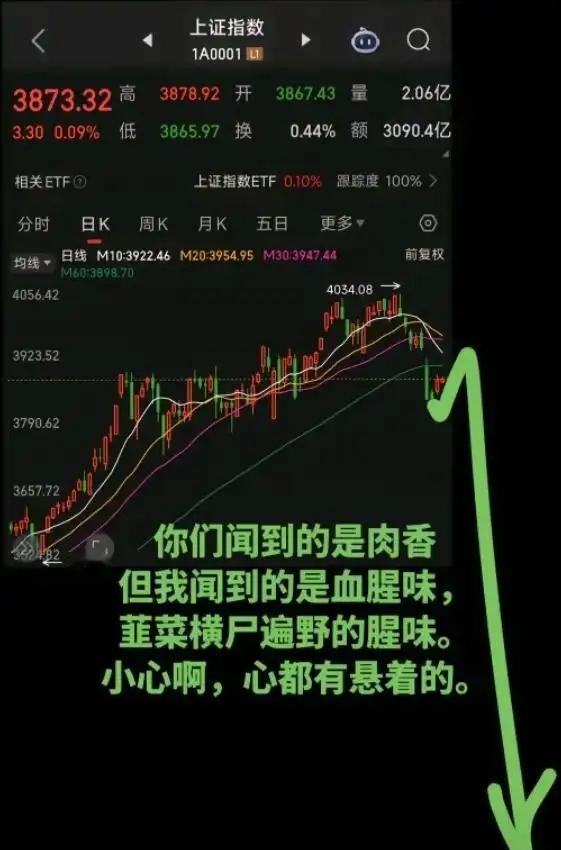 夜深了，都猫冬了吗？发张图吓吓你们，刚刷到的！如果没猜错的话，今天就是这波反