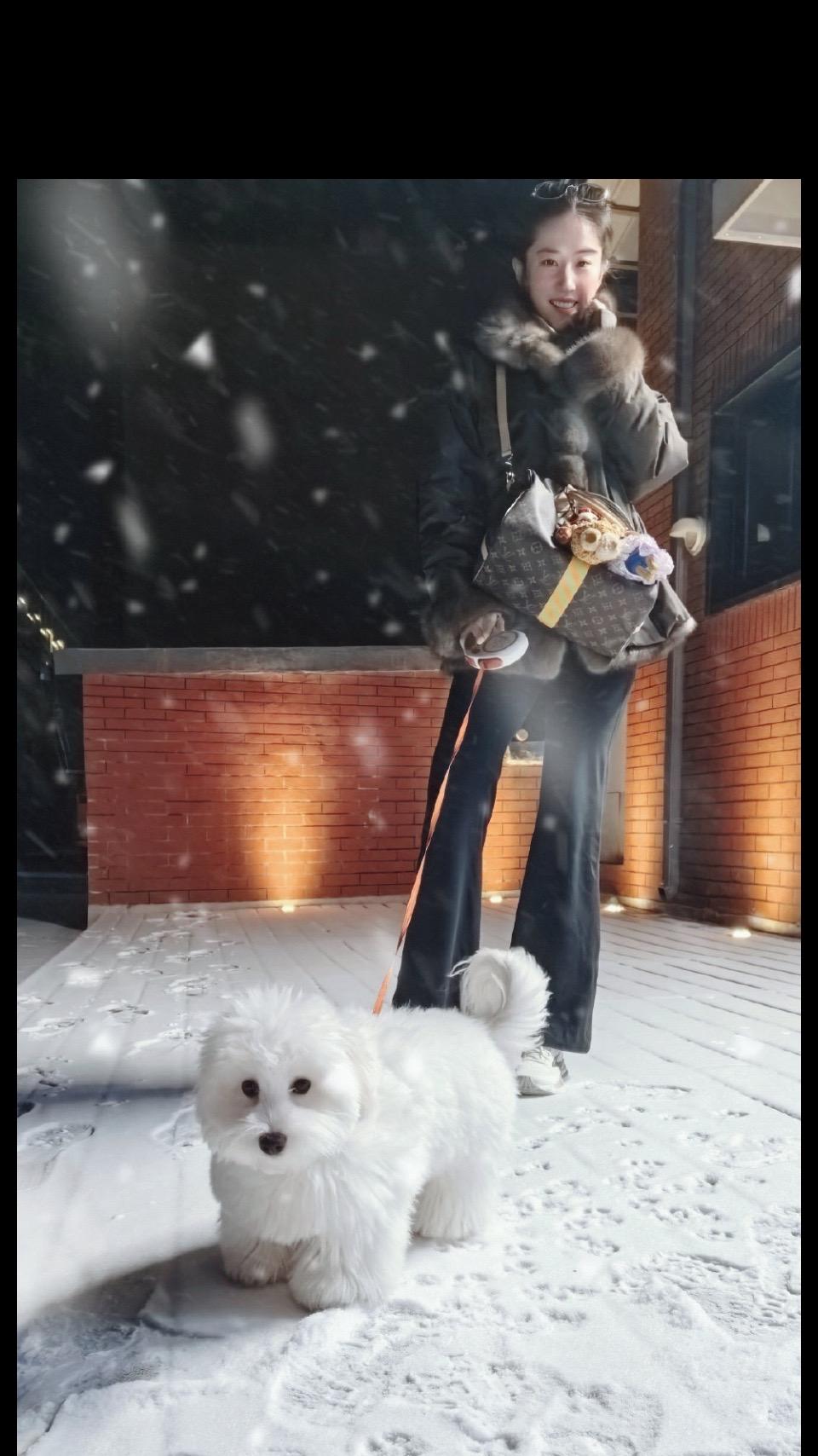 ❄️🐶刘亦菲更新初雪❄️。
