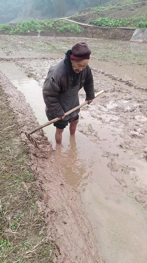 农民退休养老待何时现在东北农村正是春耕大忙之季，为的是实现春种一粒粟秋收万担