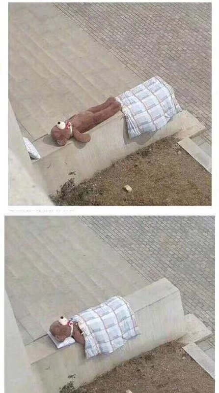哈哈哈哈哈太可爱了吧！​搞笑​​​​