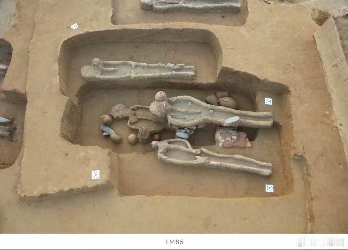 2025全国十大考古新发现十大考古参评项目裴李岗遗址河南新郑裴李岗遗址，裴李岗