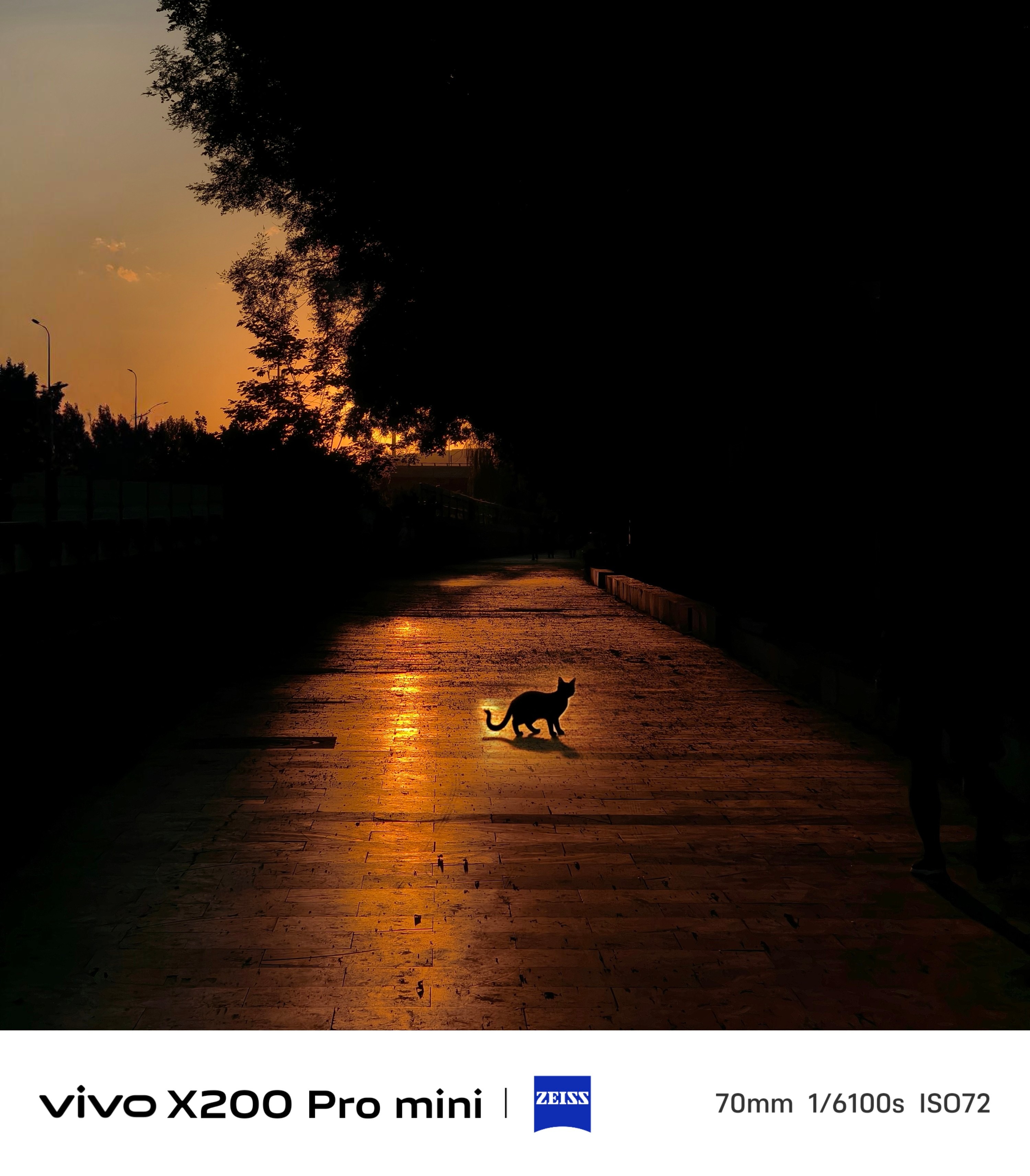来到南高基公园去新的公园转一转，然后才能发现新的视角设备：vivoX200P