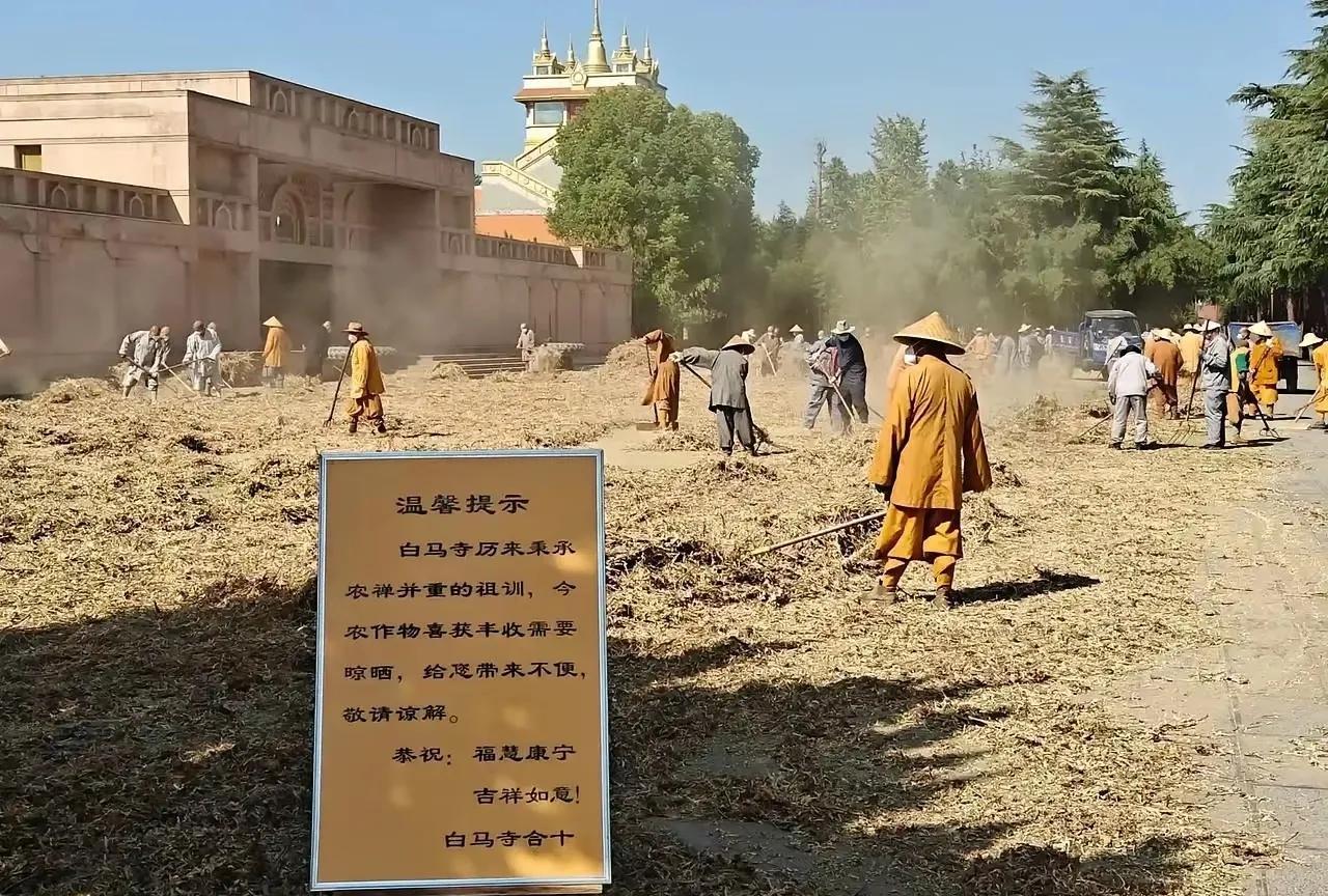 #头号创作者激励计划#释印乐在白马寺做了差不多20年住持，一到丰收的季节，大部
