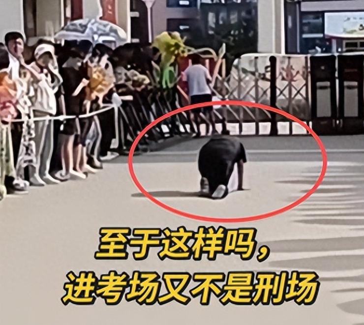 高考真的只是孩子一个人的事吗？这位妈妈的崩溃，大概就是最好的答案。孩子刚进考