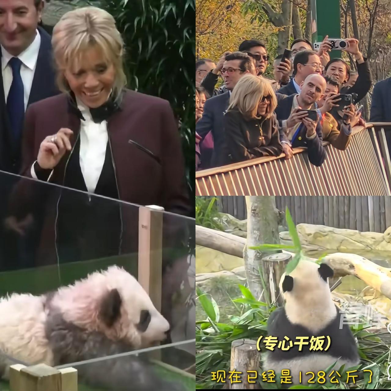 终于理解马克龙为什么会爱上比他大35岁的布丽吉特了！不是因为布丽吉特家境好，