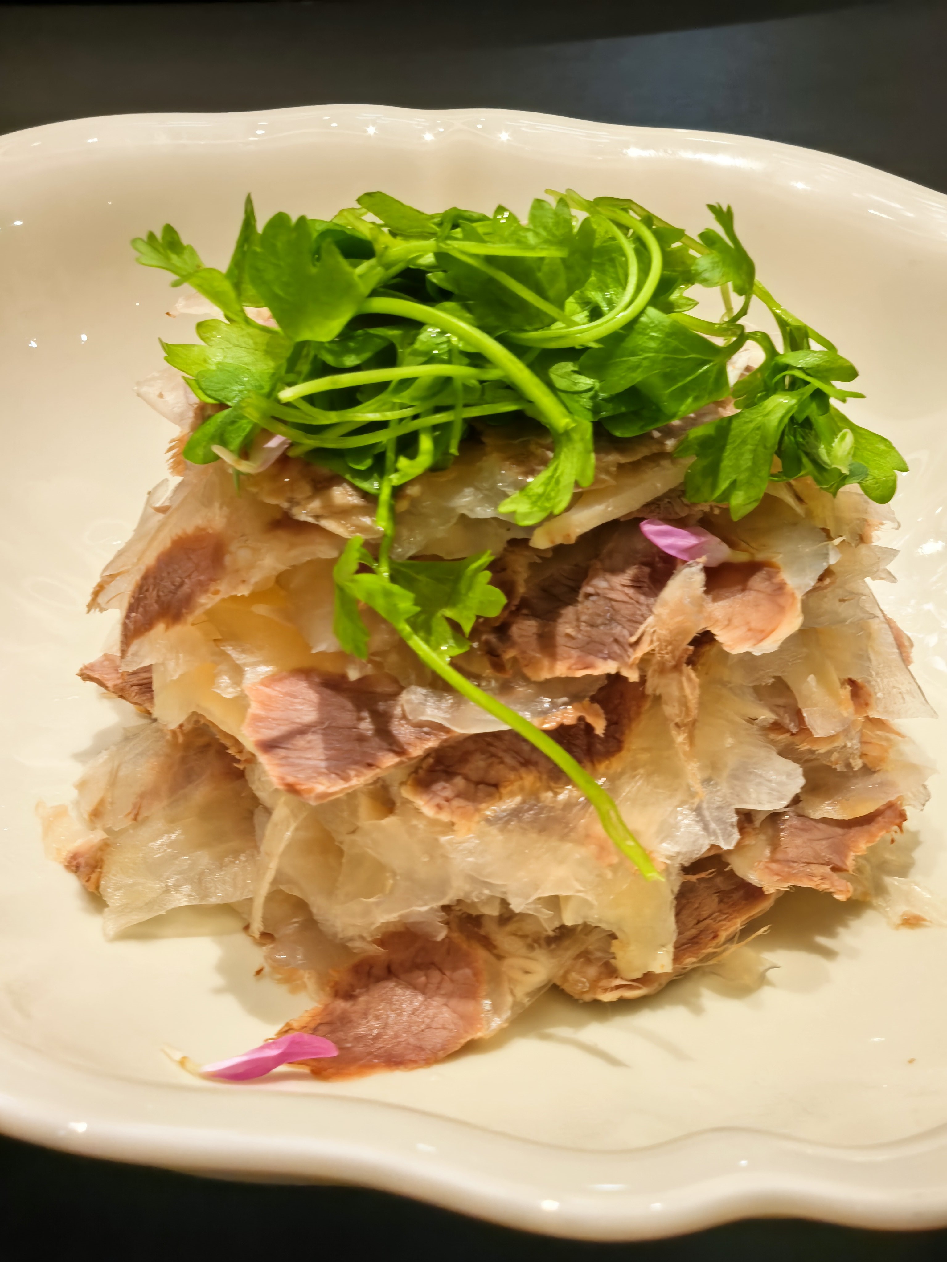 鲜松茸崩砂腩汤，牛肝菌焖甲鱼