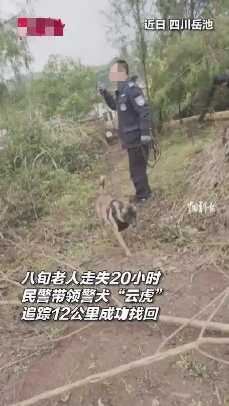 四川岳池，82岁老人走失20小时，寒冬里家人急得团团转，还好民警带着警犬“云虎”