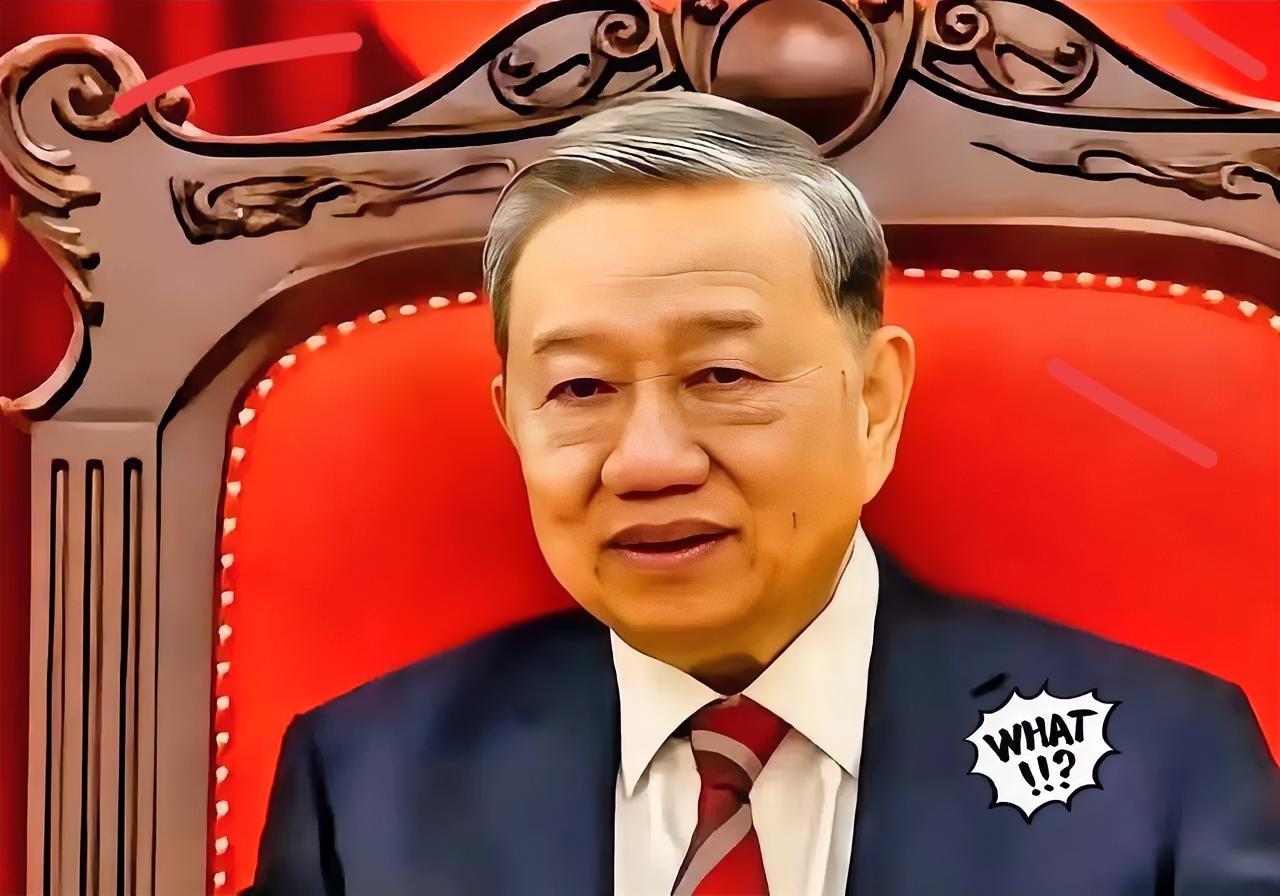 2025年11月21日，越南工贸部正式发布公告，应其国内生产商申请，决定对原产于