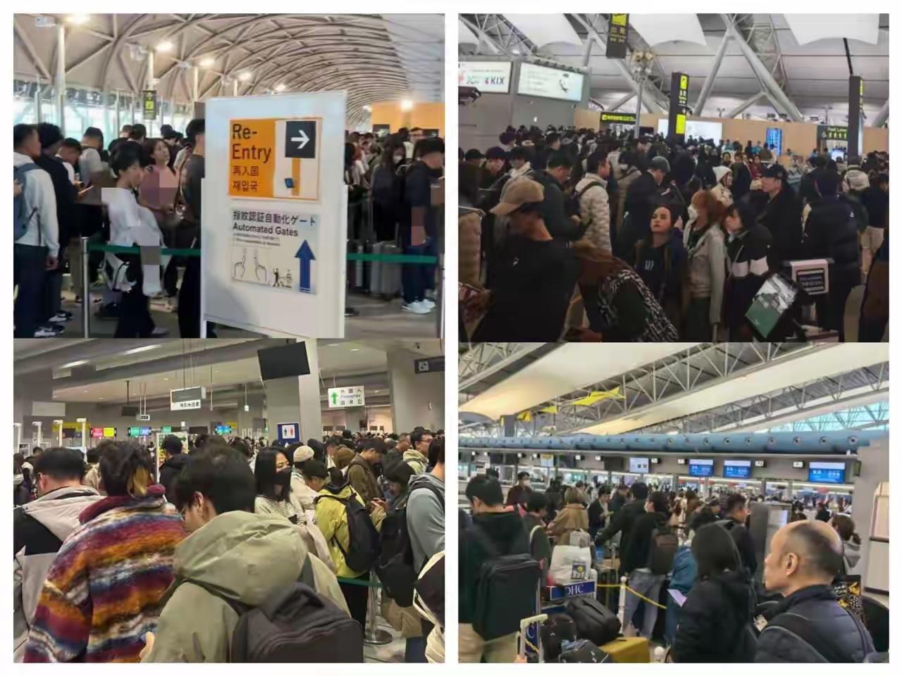 这帮人慌了！也没心思旅游了，满脑子想着怎么回去！都提前告知大家了不要往日本去了，