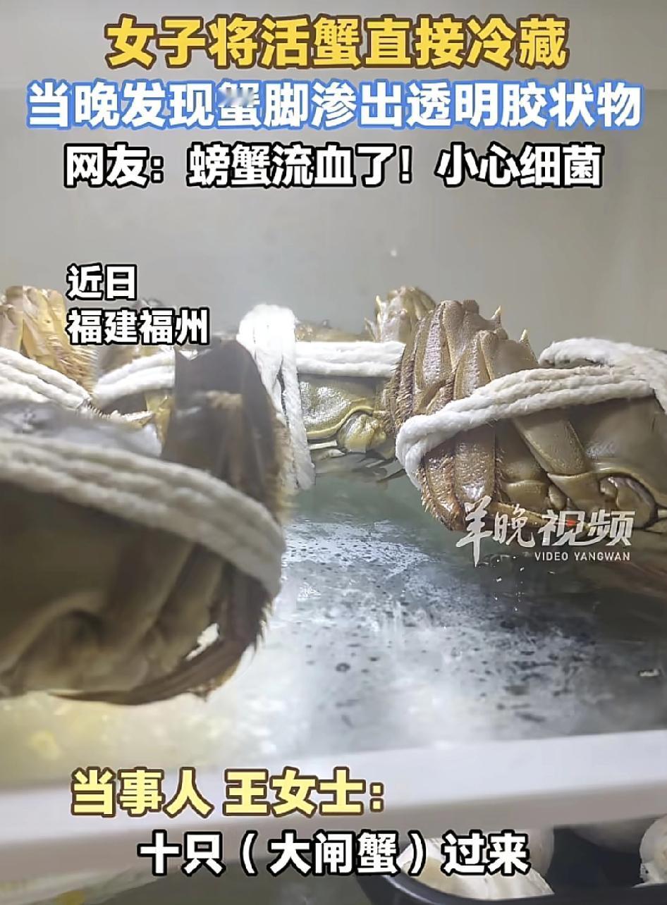 福建福州一女子收到妈妈在家乡寄给自己的10只大闸蟹，然后吃不完的大闸蟹都会放到冰