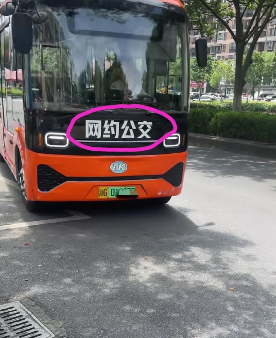 浙江金华，女子发视频在那里炫耀:去火车站接老妈，滴滴叫了一辆公交车……一开始我