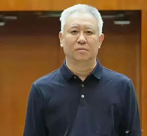 对比许家印、王健林、王石三人，我对王健林观感相对更好。相较于许家印的好大喜功，王