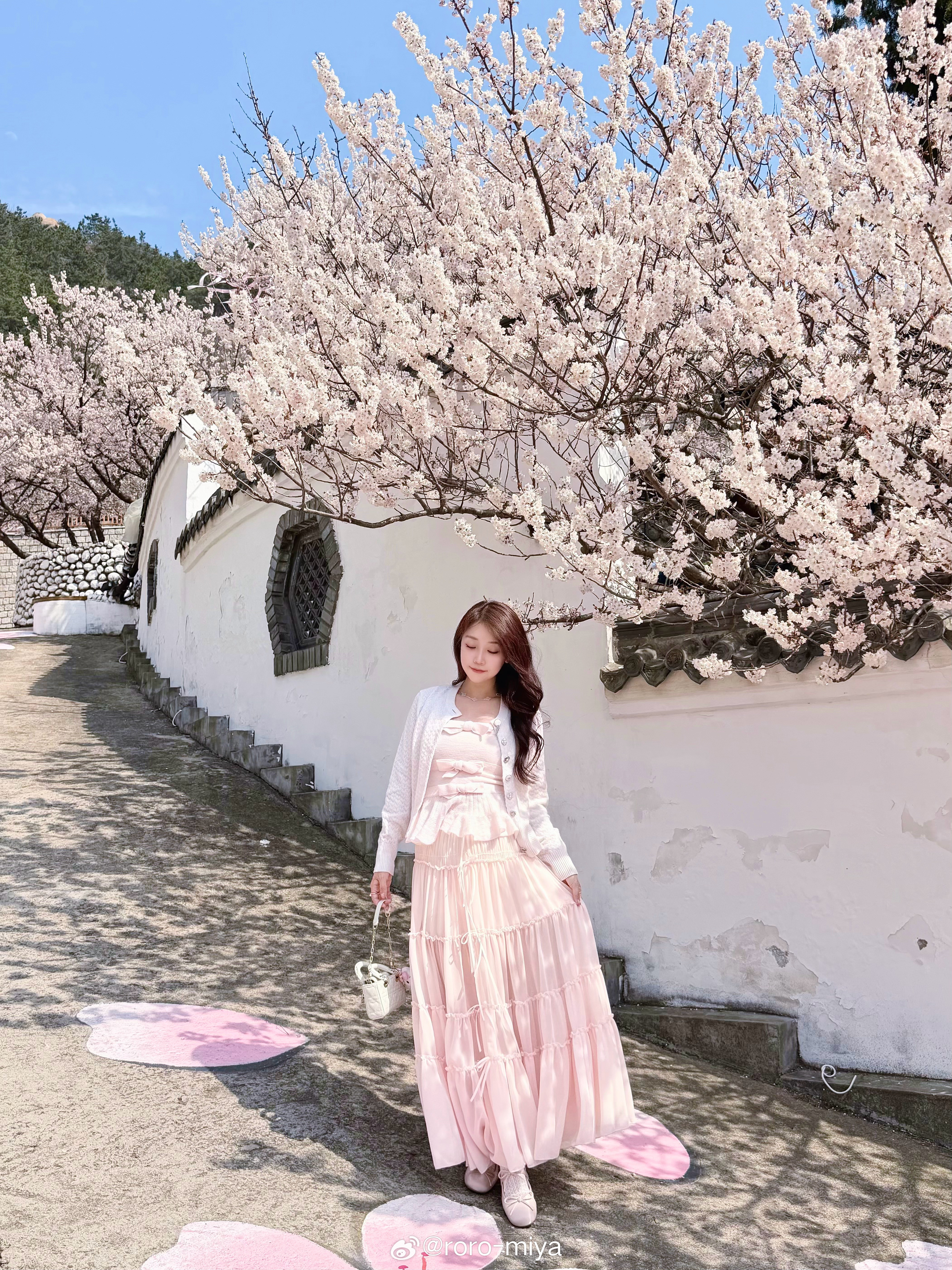 🌸春日限定樱桃花盛开今日我最美青岛·拾贰玥·山涧绘馆