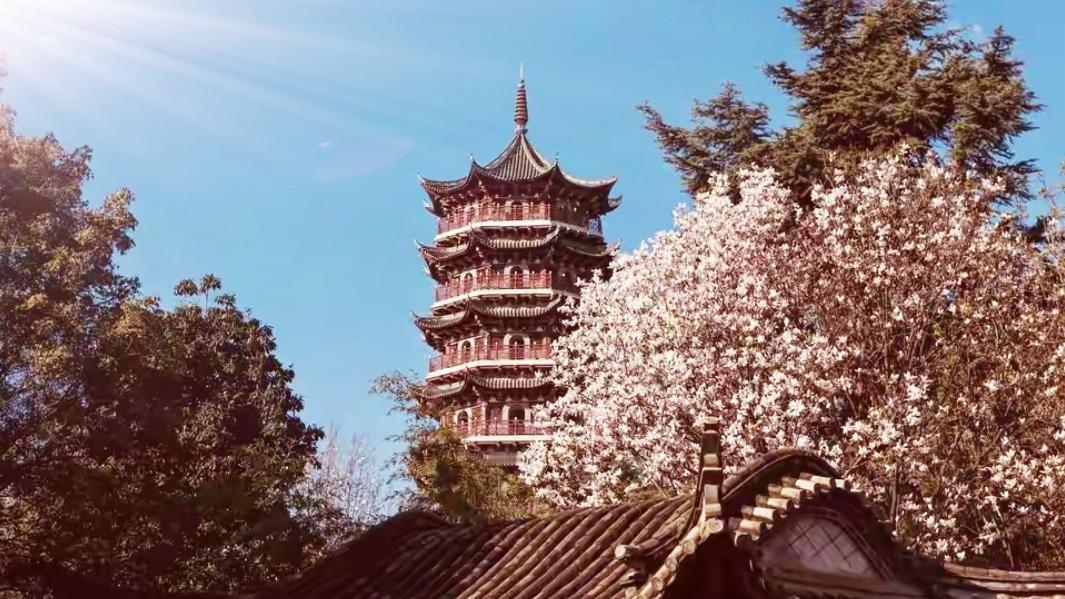 🔥400年古寺玩反差！昆明昙华寺凭“卡丁车+猫咖”爆火。谁能想到400年昙华寺