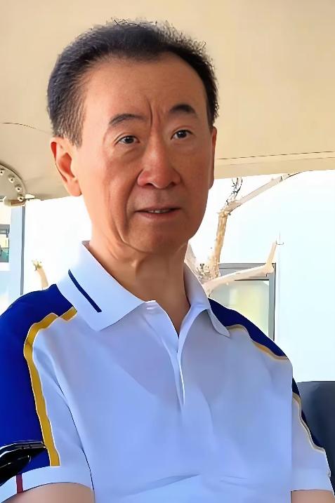 王健林限高措施已经被取消，廋死骆驼比马大，不少网友都忘了一点，就是王健林作为一