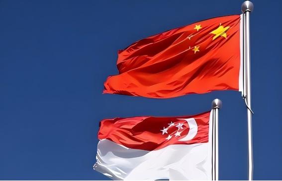 这一次新加坡彻底坐不住了！新加坡外长维文曾公开对中国喊话，希望中国能对新加坡网开