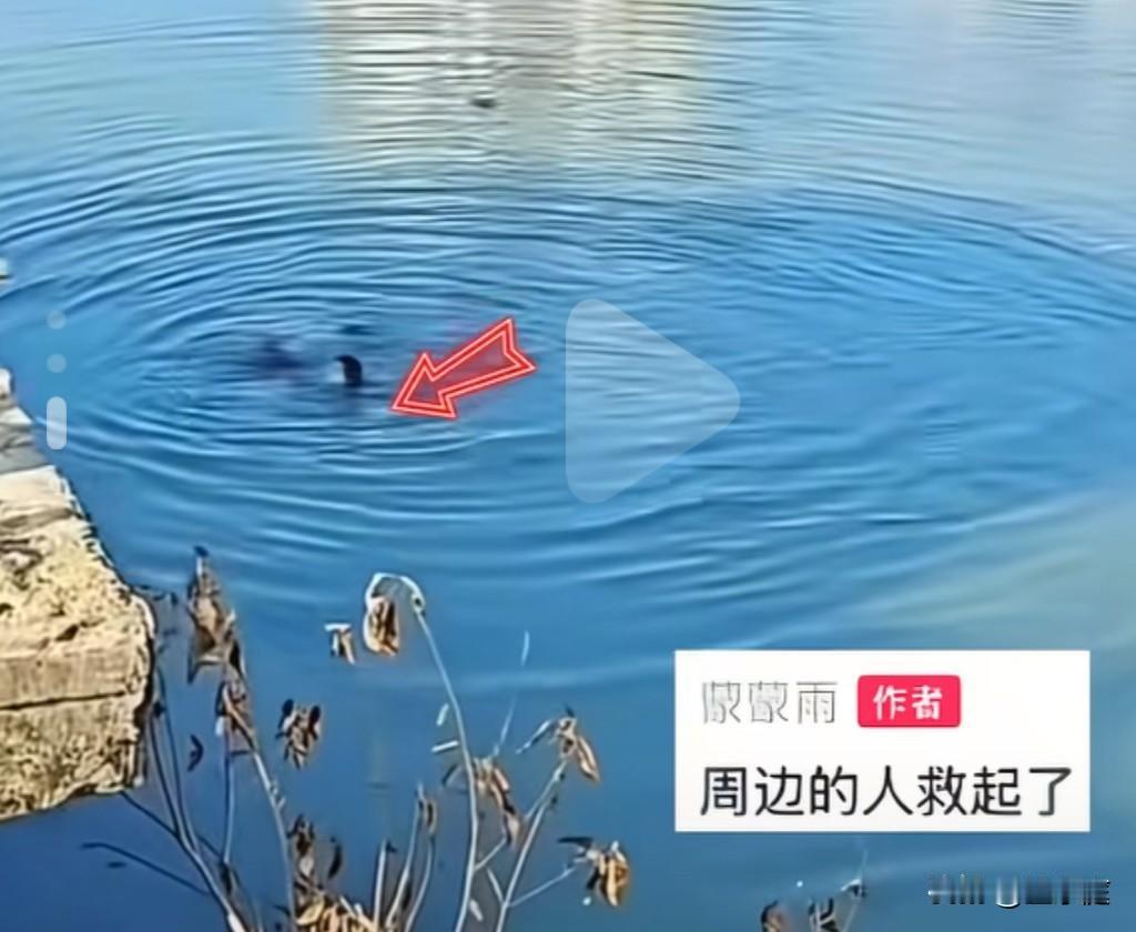 因夫妻吵架，将怀里的孩子从桥上抛进河里的男人现在恐怕是后悔不已了！婚姻能否保住暂