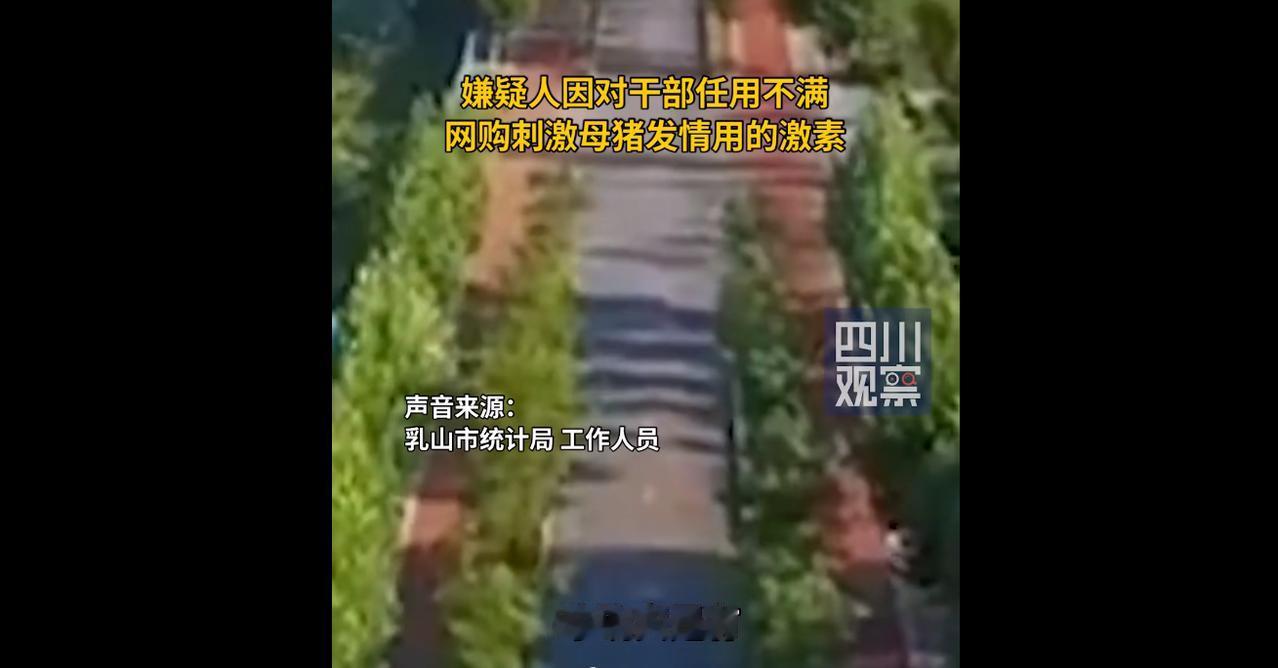 2019年，小伙往饮水机投放母猪催情剂长达两年，却无一人发现，直到整个单位上至局