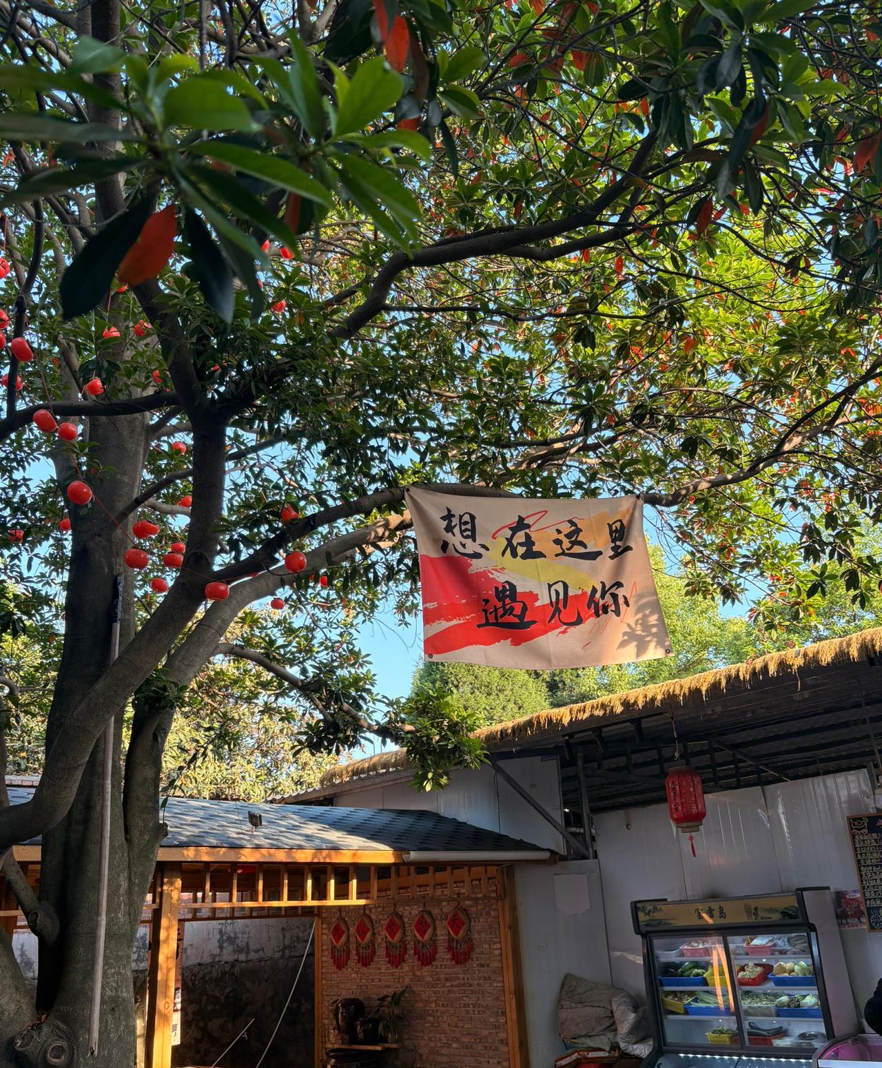 看了新闻，现在的离婚率挺高的，身边的朋友，离婚的也不在少数。其实，原因也无非