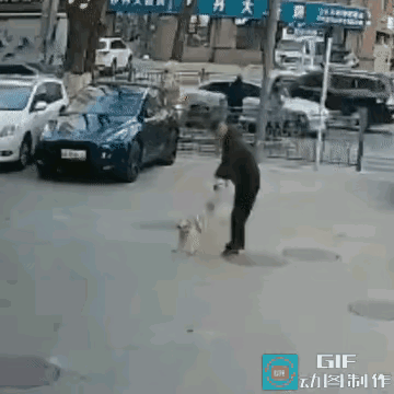 光天化日作案，狗主气坏了！！[呲牙笑][呲牙笑][呲牙笑]