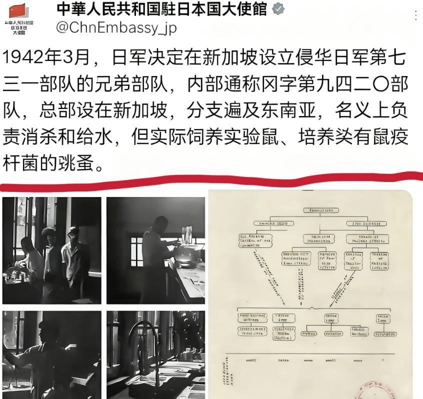 中国使馆一份1945年档案，撕开了新加坡深藏的历史伤疤。白纸黑字显示，日军曾在此