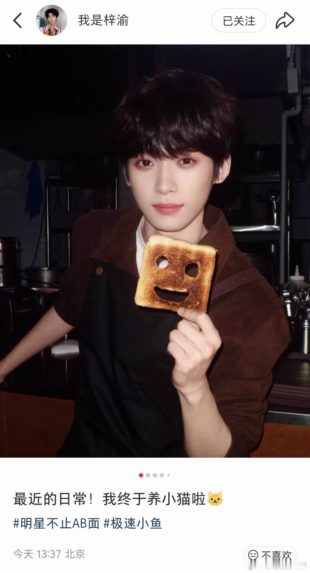 梓渝称最近终于养小猫啦！！！我好奇的是他的猫叫什么🙉