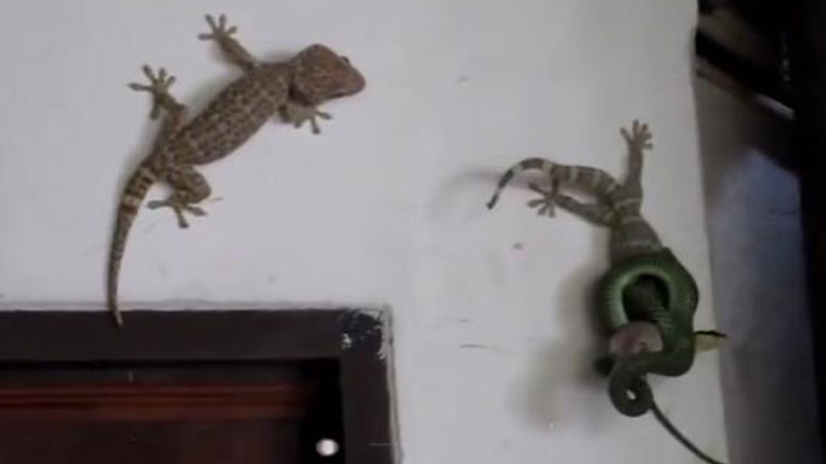 5408503811313619290.jpeg?id=0