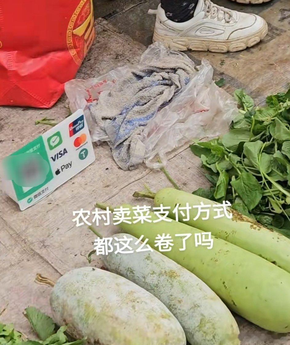 农村的卖菜支付方式都这么卷了吗？[捂脸哭][捂脸哭]​​​
