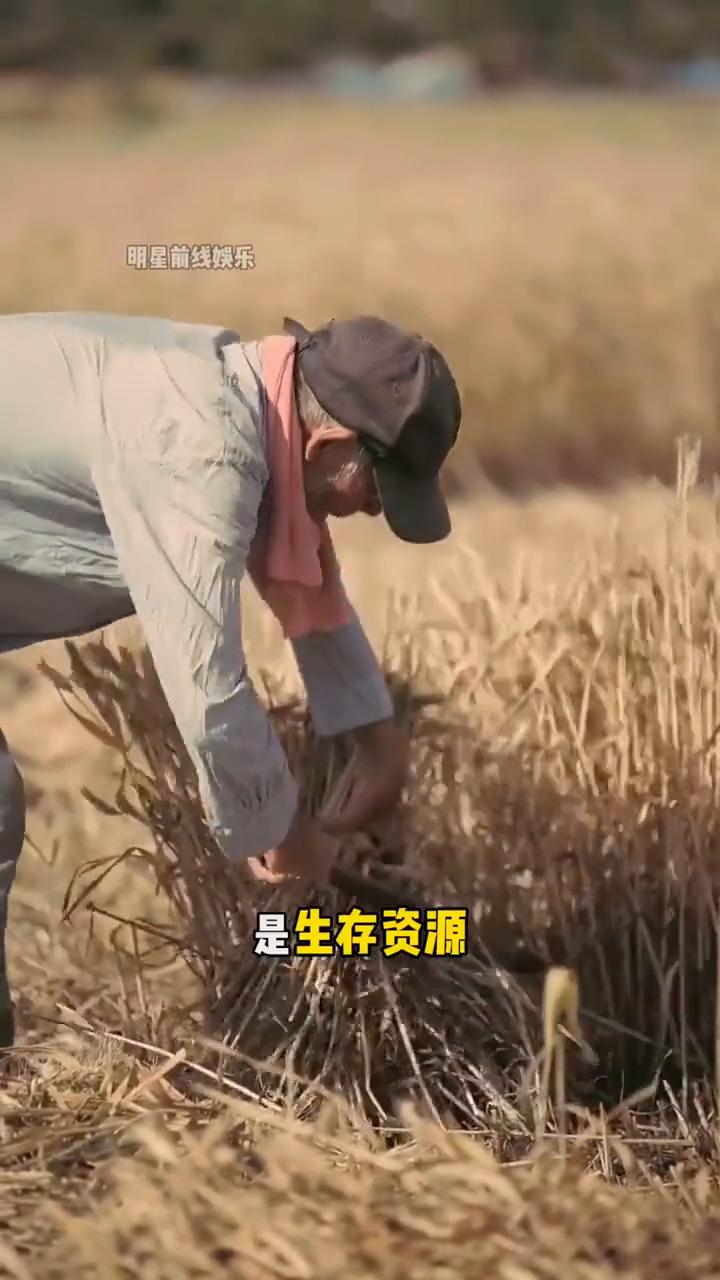 广大农民的历史贡献终于被看见。明星前线娱乐。终于有人大代表看到了农民的付出，