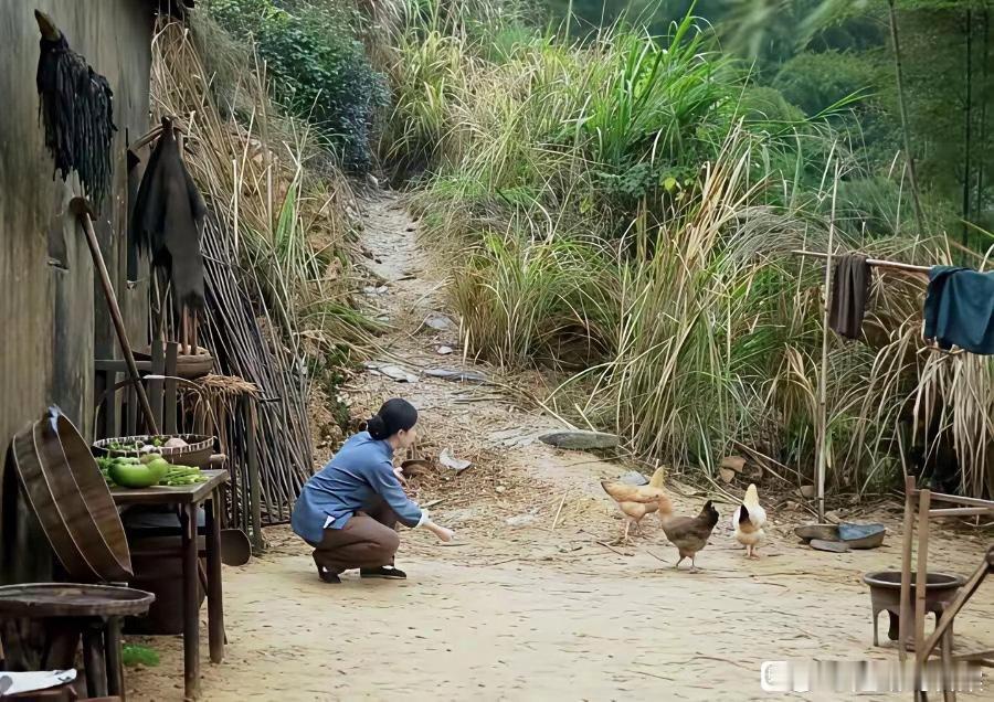 刘亦菲演的农村妇女在喂鸡，总感觉哪里不太对