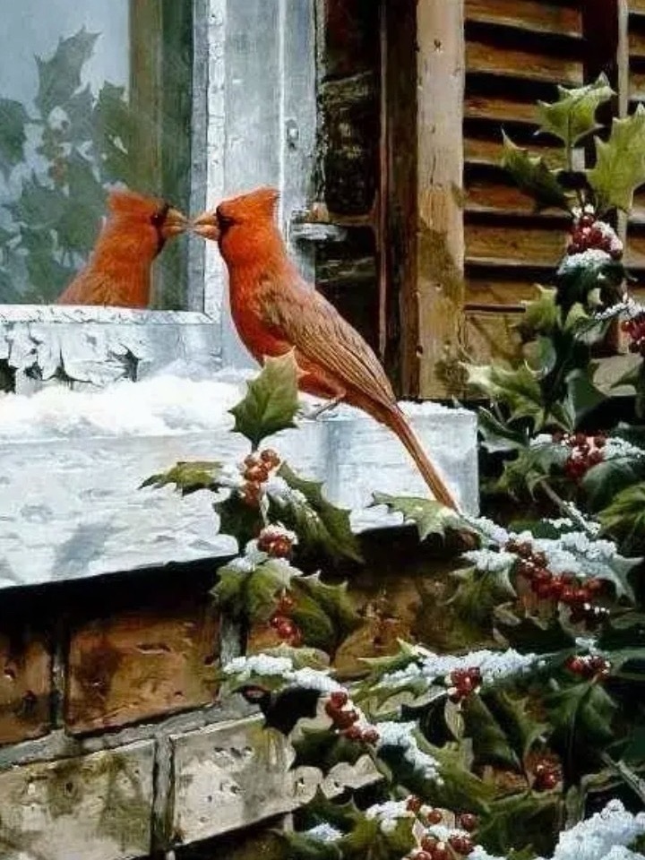 我就拿着纳指和生物科技来个九转就结束，然后好好过年就好了，心态好点。不能老比来比