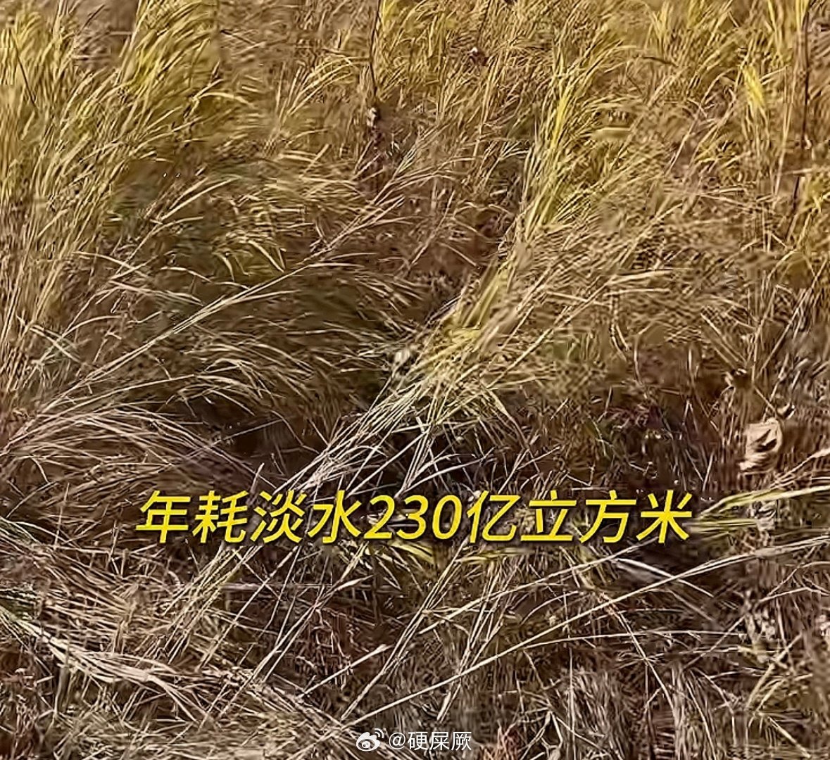 人类就是很贱​