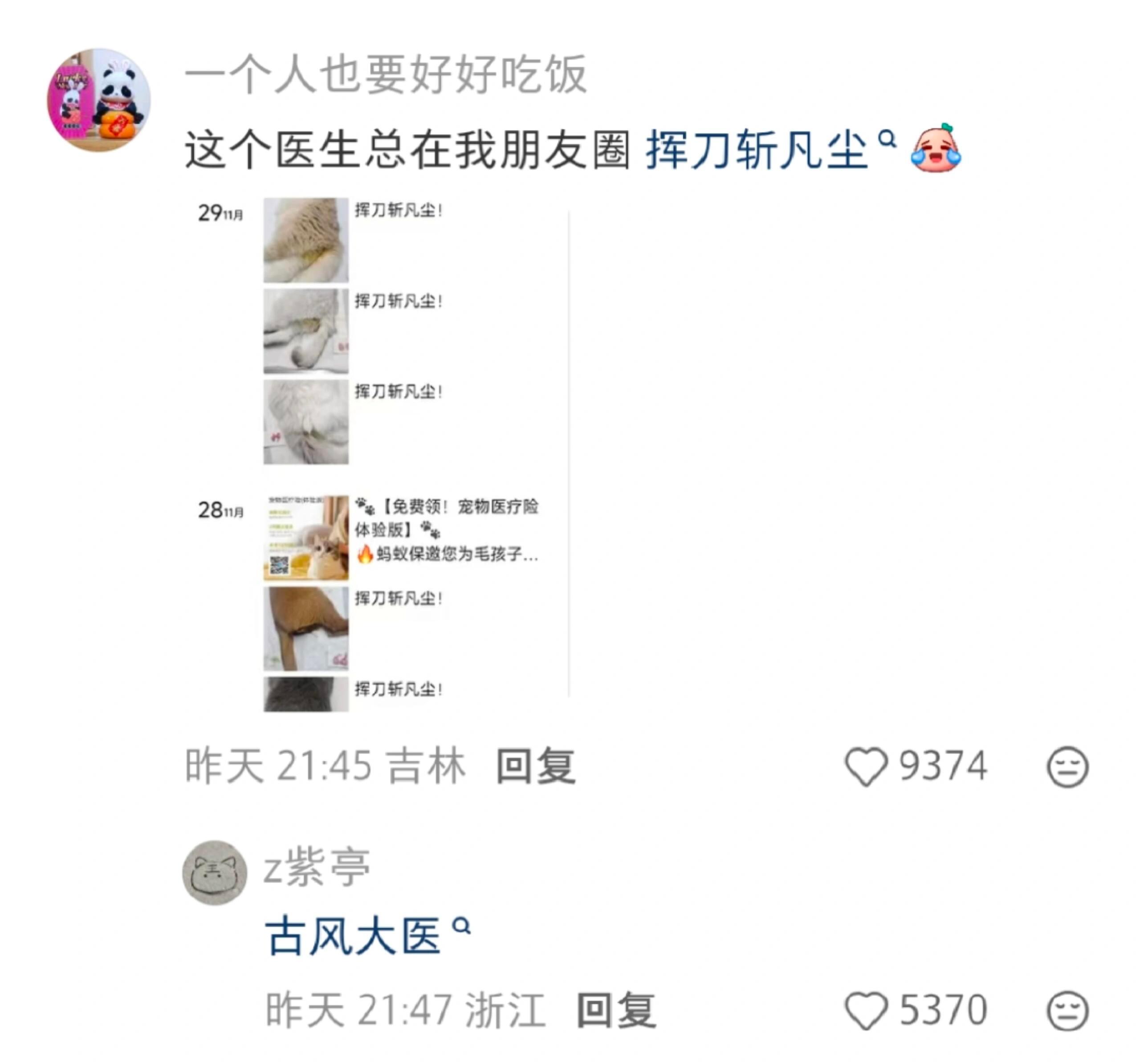 宠物医生的朋友圈太有意思了