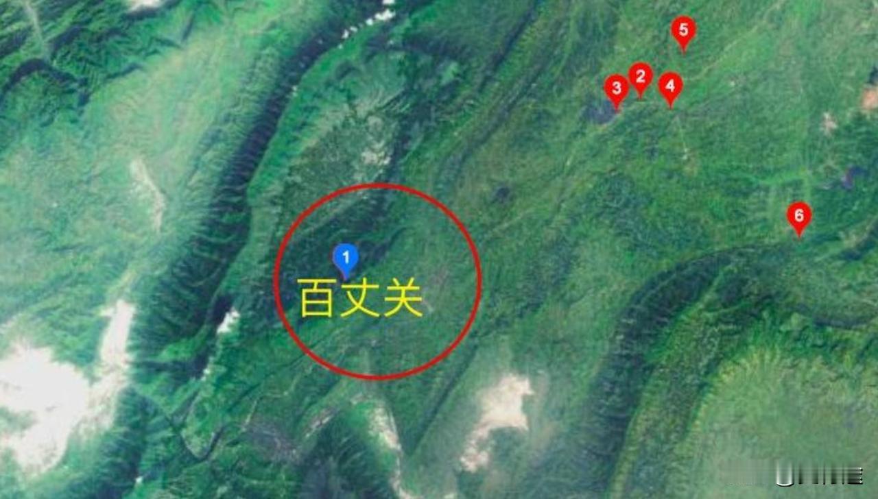 说到红四方面军打的仗，一般都是赢了徐向前们功劳，输了则是张的瞎指挥，但从百丈关一