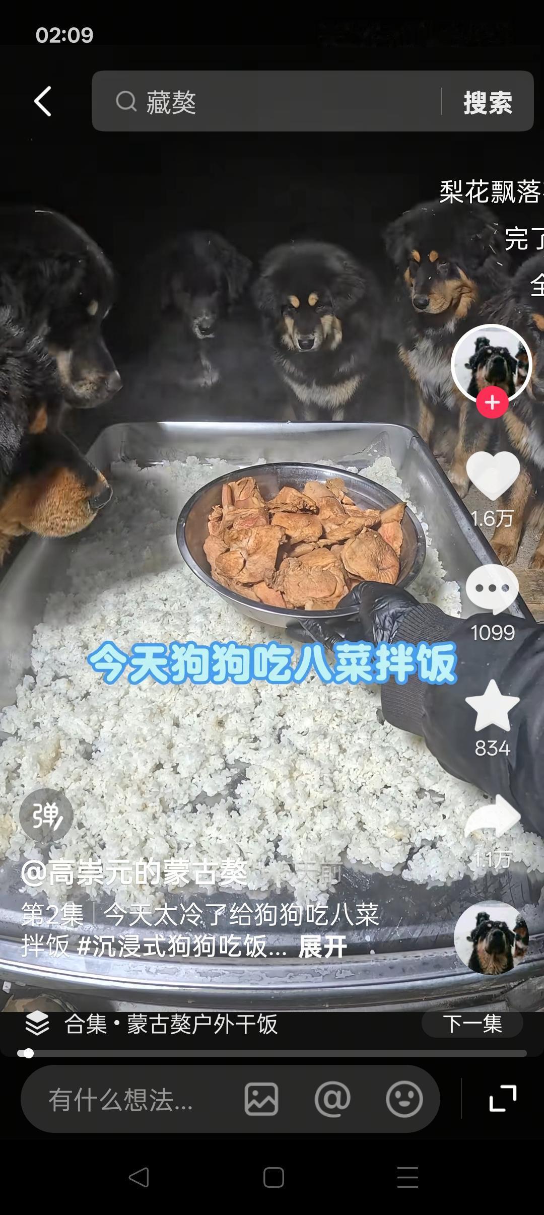 好多人都吃不上的东西，却毫不吝啬地给狗吃，人活得还不如狗。这是爱心吗？是善良