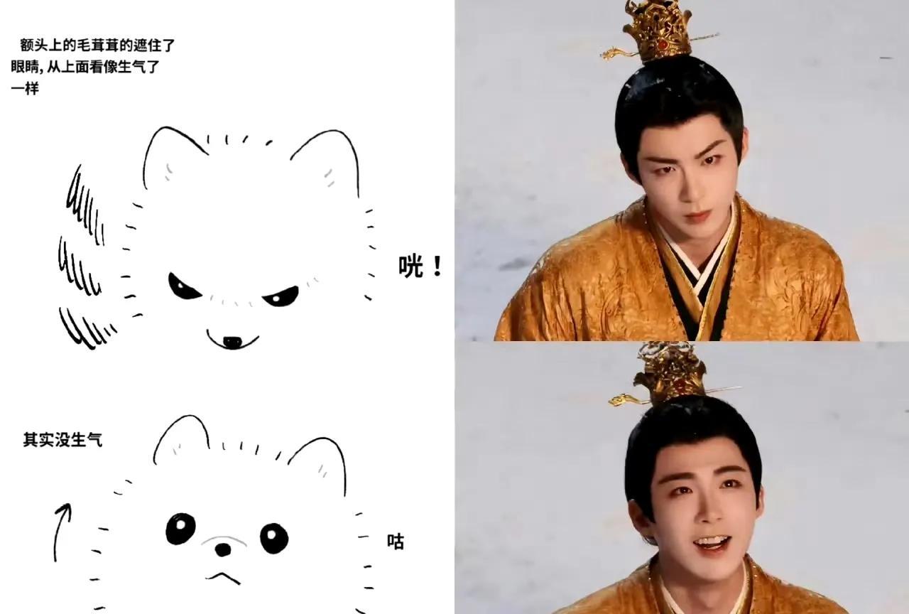 警惕！刘宇宁又被当“工具人”遛剧本啦！最近网传他要搭档鞠婧祎演《万花世界》，