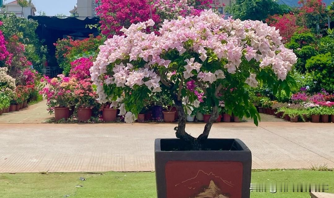 业务员走得七七八八了又有一个老员工辞职了，他走了，他老婆也辞职了