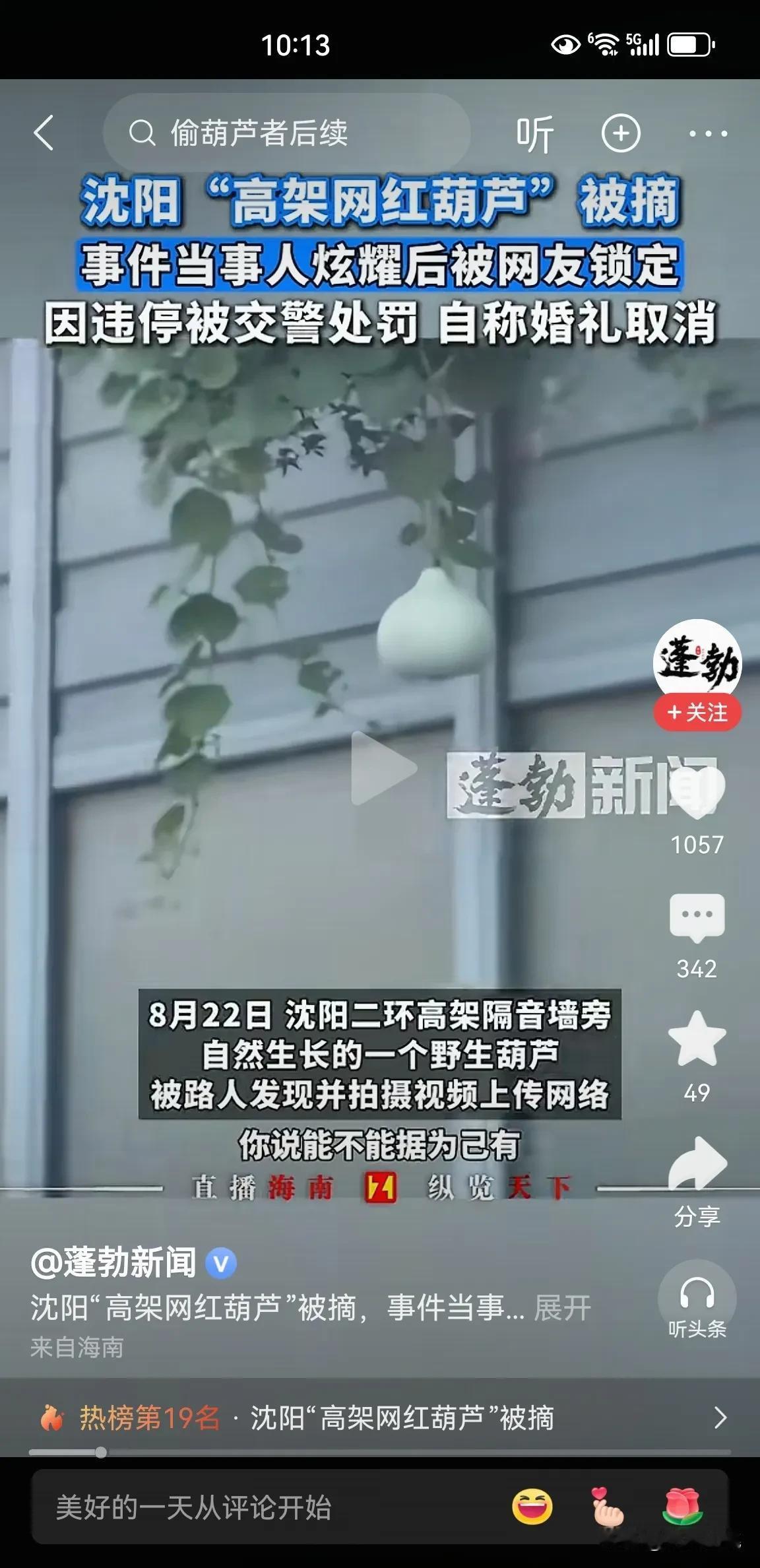 我在广西南宁，听说沈阳900万人没看住一个葫芦！沈阳高架桥上的“网红葫芦”到