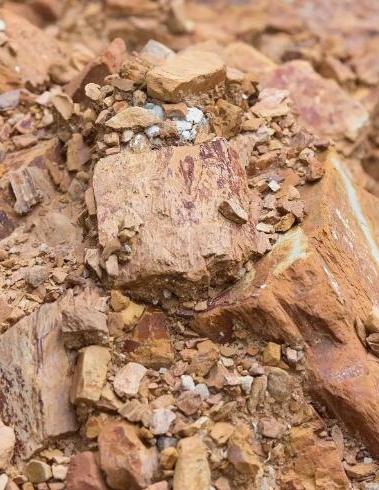 大家发现没有，中美关税战打到现在，什么台积电！什么英伟达！什么苹果！什么特斯拉！