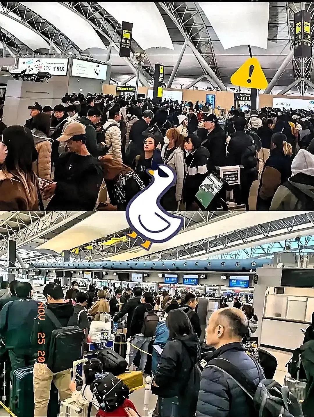 大是大非面前，总有一些人没脑子。为什么他们会认为航班也会将就他们！机票也会