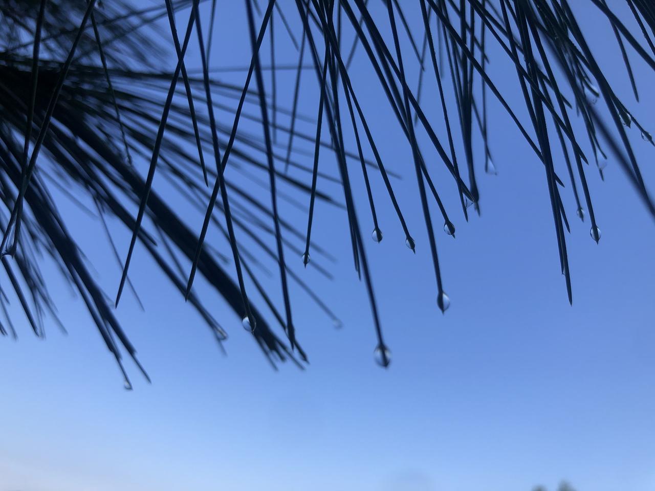 昨晚突然接到表哥的电话原以为要介绍事情给我做呢？（我表哥是包工程）可是万万