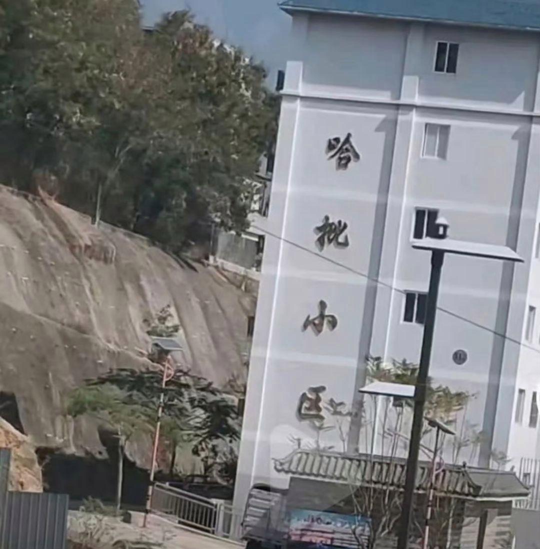 这名字咋起的呢