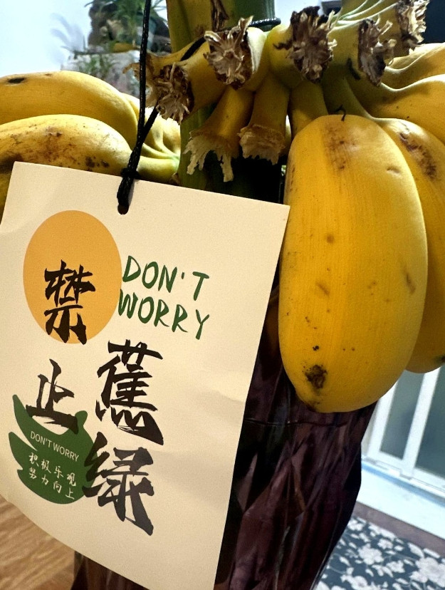我和老爷们做了个约定，说是约定其实就是我说出来他只有服从的权利，他现在压根就没有