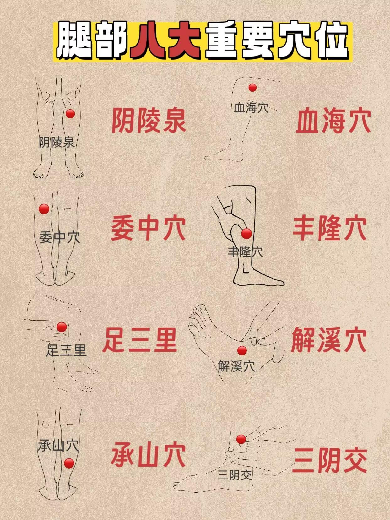 人体的八个排湿痩腿开关.每天三分钟✅健闻登顶计划​​​