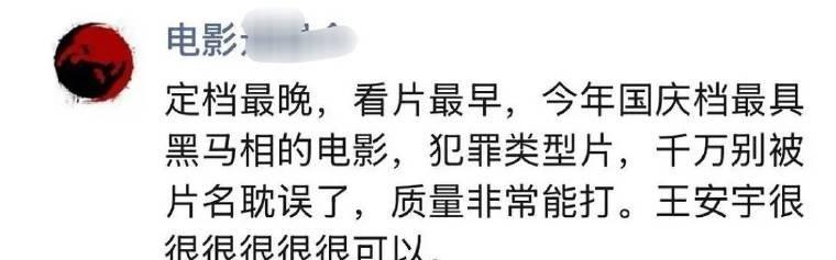 影评人说毕正明的证明是最具黑马相的电影，且王安宇很很很很很很可以