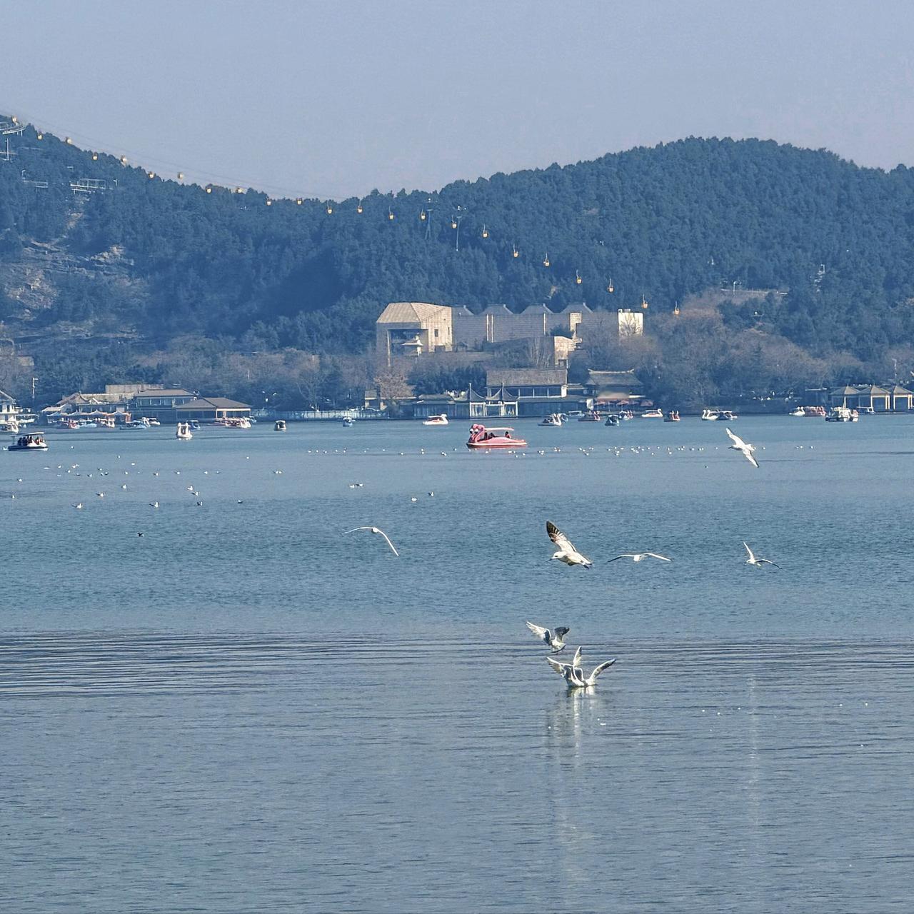 实话实说!徐州去过3次才懂的4个宝藏地！1.🌊云龙湖：徐州的“城市客