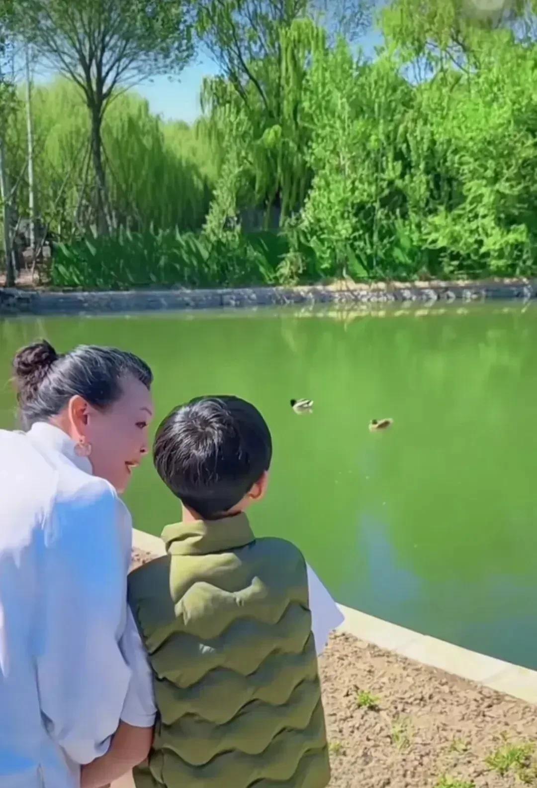 刷到兰姐牵着小孙子散步的视频，小家伙的背影活脱脱是“汪小菲童年2.0版本”——一