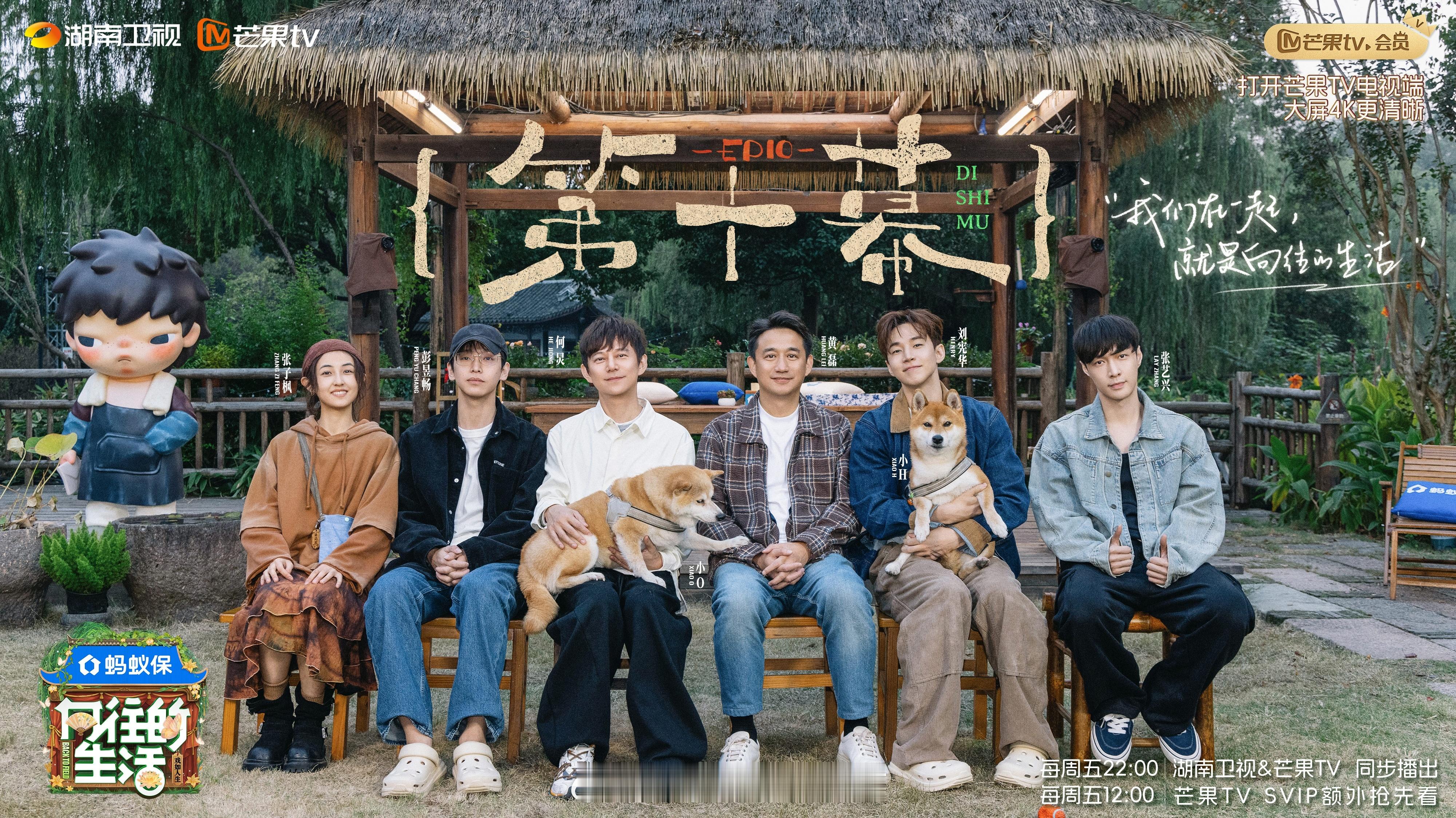 向往的生活8今天结束了。第十期，没有话剧，大华艺兴彭彭子枫全员回归，非常有趣。期