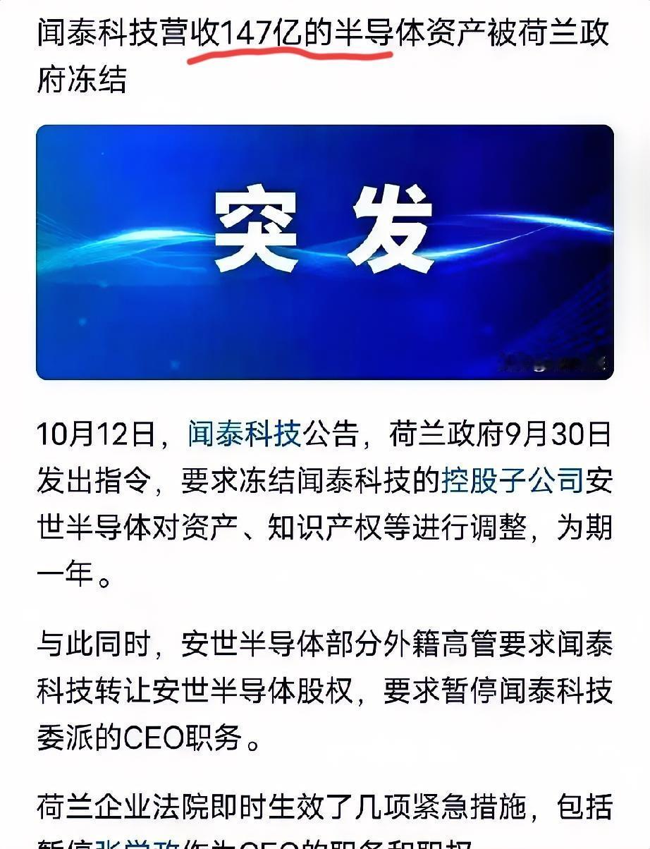 99%股份一夜被抢，中国老板只剩1股荷兰一纸冻结令，把张学政踢出董事会，还把