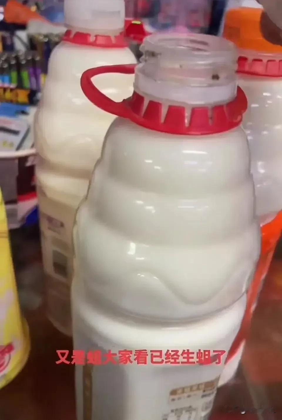 震惊！营养快线里发现蛆！消息传来，我第一反应这不胡扯吗？再一看，不但有蛆，还不